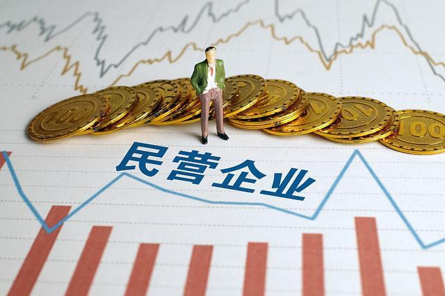 財(cái)神簡評：民營經(jīng)濟(jì)促進(jìn)法具備哪些意義